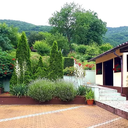 Silva House 4* Deva